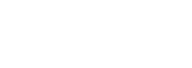 Varinias Logo